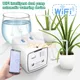 Dispositivo di irrigazione automatico intelligente a doppia pompa WIFI con telecomando per telefono cellulare per l'irrigazione a goccia delle piante in vaso da giardino del balcone
