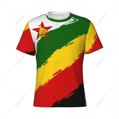 Custom Name Nunber Zimbabwe Flag Color Men Tight Sports T-shirt Women Tees jersey For Soccer