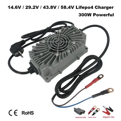 300 W wasserdichtes 12 V 15 A 24 V 10 A 36 V 6 A 48 V 5 A LiFePO4-Ladegerät 14,6 V 29,2 V 43,8 V 58,4 V Eisenphosphat RV-Energiespeicher-Ladegerät