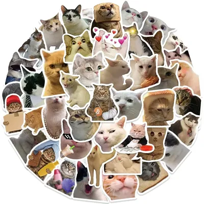 10/30/50pcs lustige Katze Meme wasserdichte Graffiti Aufkleber ästhetische dekorative Gepäck Laptop Image