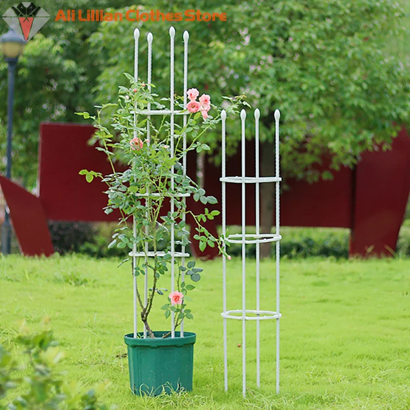 1 Satz Pflanzens tütz käfige Tomaten käfige für Kletter pflanzen Garten pfähle Tomaten reben käfige unterstützen Gitter garten bedarf Image