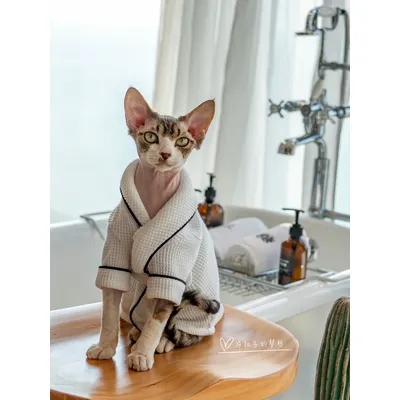 Luxus Haustier Katze Pyjama Senior Stoff Katze Mantel Kleidung für Sphynx Katze Devon Rex weiche Image