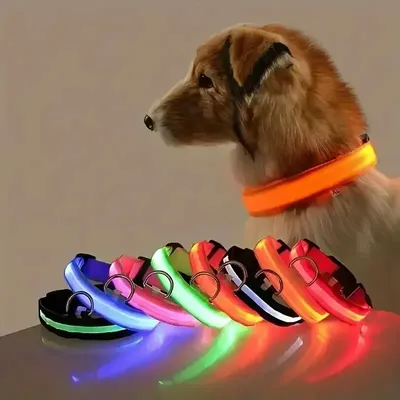 Nylon LED Dog Collar Night Safety Flashing Glow In The Dark Pet Dog Leash Pet Dogs Luminous