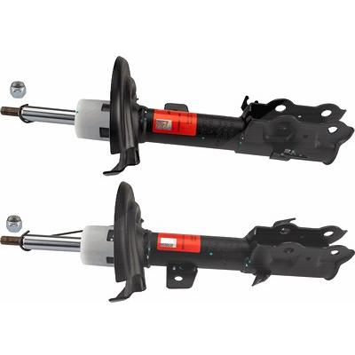 Trw Stoßdämpfer [Hersteller-Nr. JGM1091T] für Ford Image