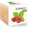 Feel Green Ecocube - Semi di Fragola biologici, Idea Regalo sostenibile (100% Eco Friendly), Grow