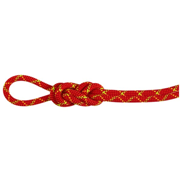 Mammut - 8.0 Alpine Core Protect Dry Rope - Halbseil Länge 30 m rot/weiß