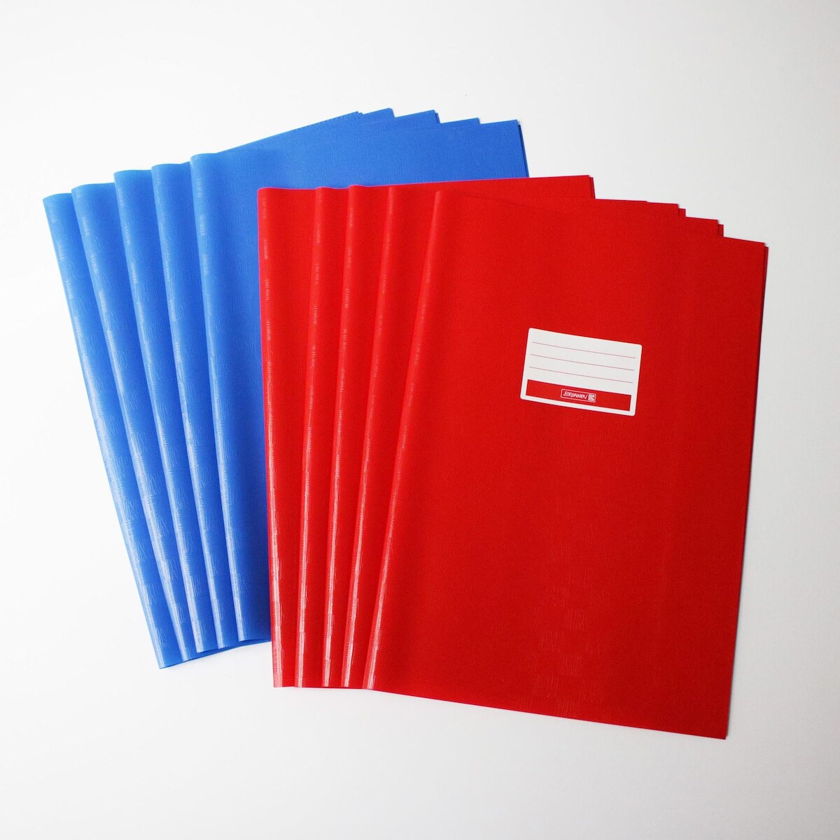 Adina 10 Hefthüllen A4 5x rot 5x blau Bastmuster Image