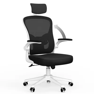 Ergonomic Office Chair, Liftable High Back Gaming Chair with Lumbar Support, Swivel Desk Gaming