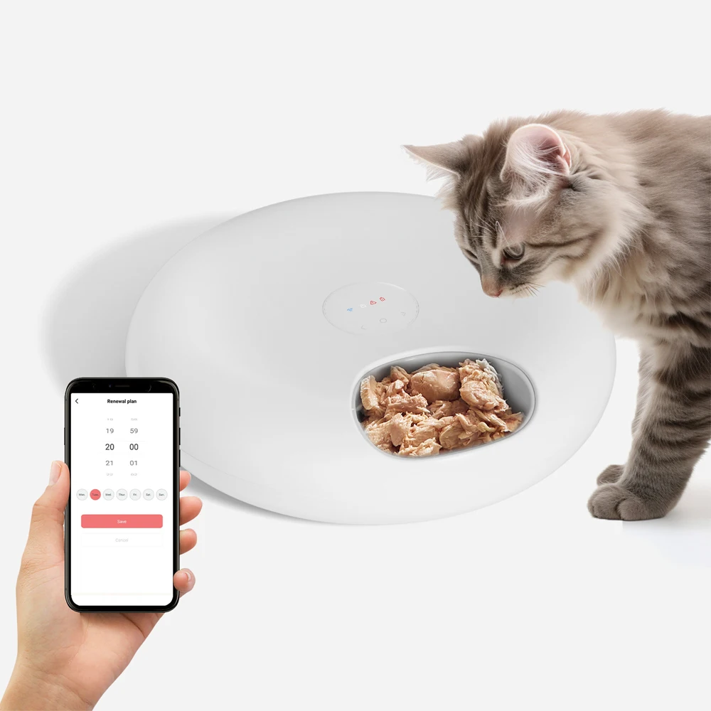Fraischeur aliments secs et humides recharge automatique mangeoire pour animaux de compagnie chat alimentation intelligente distributeur de nourriture pour chien WiFi bouton synchronisation