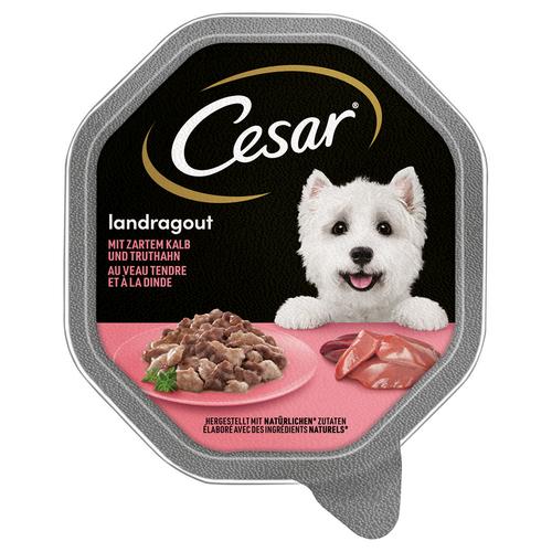 28x150g Landragout mit Kalb und Truthahn Cesar Hundefutter nass