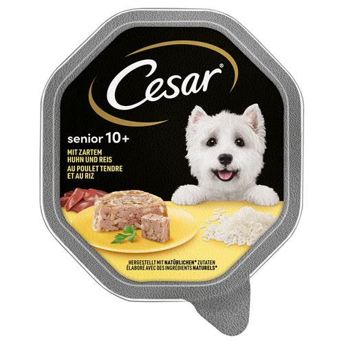 28x150g Cesar Senior 10+ Schale mit Huhn und Reis Hundefutter nass