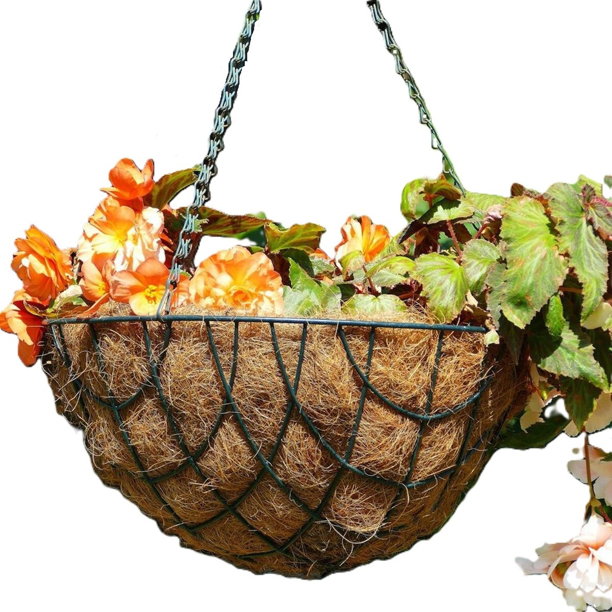 Pflanzeinlage für Pflanzkörbe und Blumenampeln 50cm Kokos-Einleger Kokosfaser 50 Image