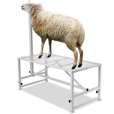 VEVOR Goat & Sheep Stand Livestock Stand, Metal Livestock Milking and Shearing Stand