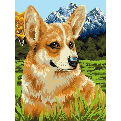 Malen nach Zahlen Corgi, 30 x 40 cm