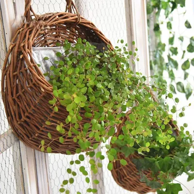 Hanging Woven Rattan Vase Baskets Wall Mount Basket Handmade Wicker Flower Pot Flower Planter Cachepot Home Vine Pots
