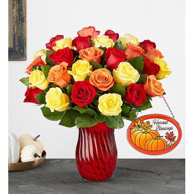 1-800-Flowers Flower Delivery Assorted Fall Rose Bouquet 36 Stems W/ Red Vase & Suncatcher