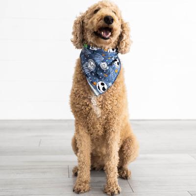 Disney Jack & Crew Pet Bandana - M/L