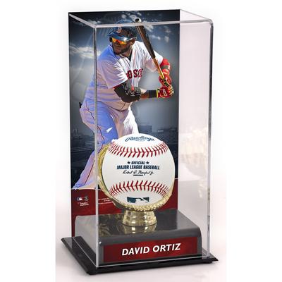 Vitrine mit goldenem Handschuh von David Ortiz, Boston Red Sox, mit Bild Image