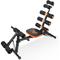 Ab Workout Bench for Home Gym, Multi-Functional Adjustable Ab Exercise Equipment