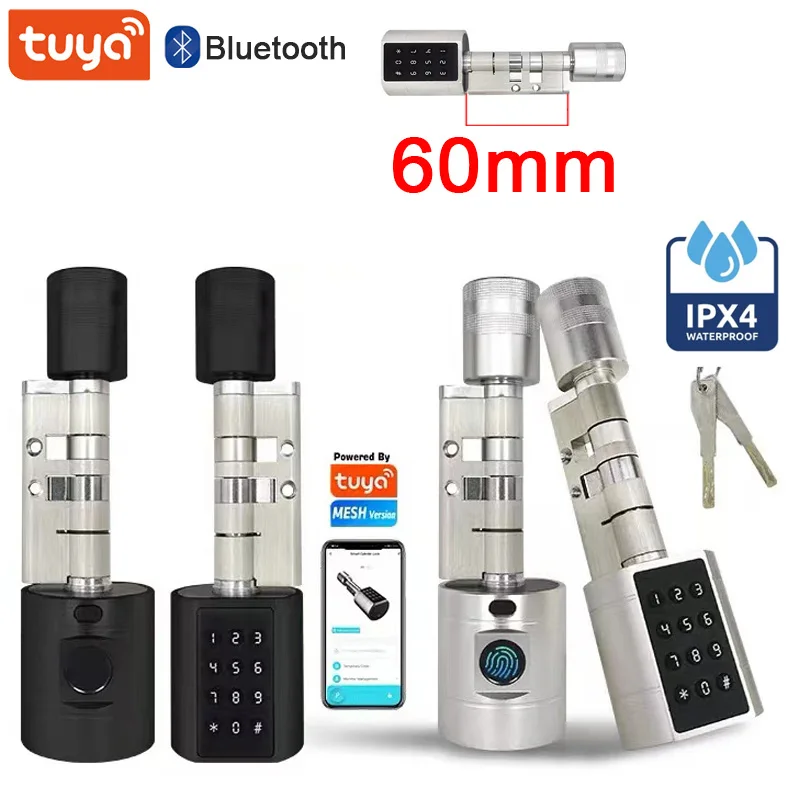 Tuya APP Cilindro per impronte digitali Serratura intelligente per porta Codice tastiera digitale elettronica Controllo remoto senza chiave Appartamento domestico regolabile
