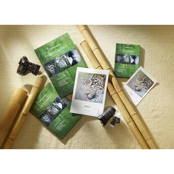 Hahnemuhle Bamboo Fine Art Paper (17 x 22", 25 Sheets) 10641407