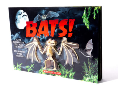 Bats! with Skeleton Model
