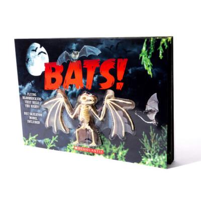 Bats! with Skeleton Model