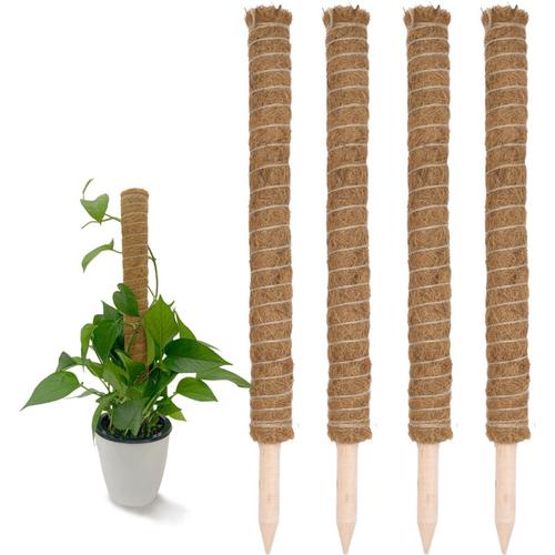 Kokos Rankstab 40 cm natur - 4 Stück - Pflanzstab für Zimmerpflanzen – Blumen Pflanz Stab Topf