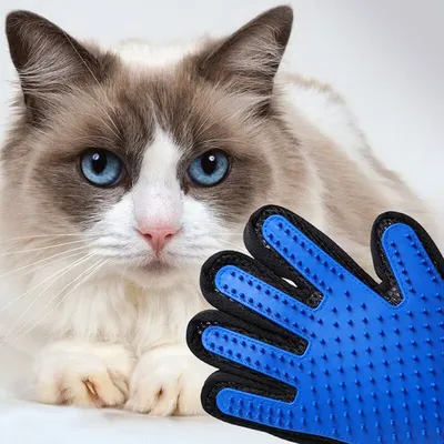 Haustier-Haarentferner-Handschuhe Katzen-Hunde-Massage-Bade reinigung Pflege mittel Image