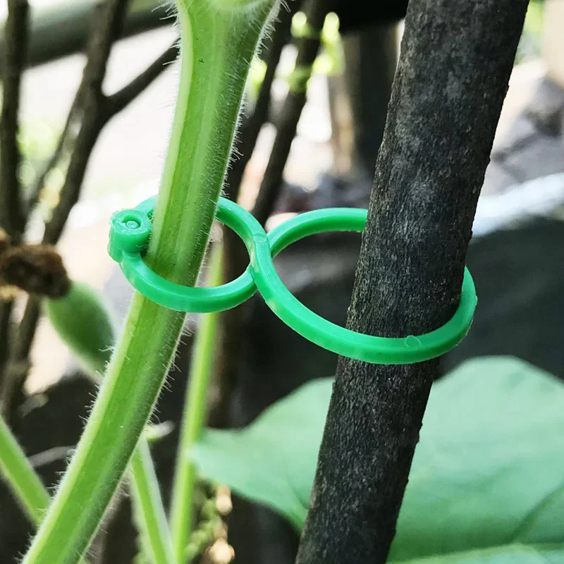 50/100 Garten Rebe Umreifung clips Pflanze gebündelt Schnalle Ring halter Tomaten Garten Pflanze stehen Werkzeug Garten dekoration Zubehör Image