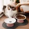 Katzen schale Keramik Haustiersc halen Katze Hunden apf Gericht Tiernahrung Platte Kätzchen Wasserschale Feeder Hunden apf Feeder für Katzen Haustier Zubehör