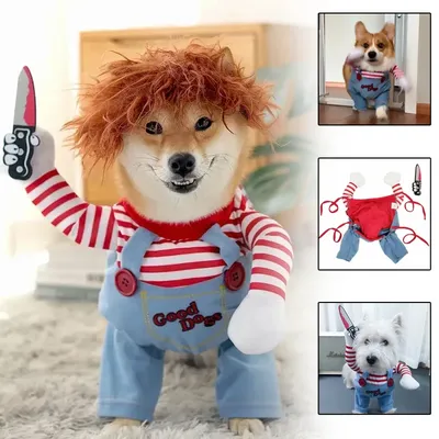 Lustige Hund Horror Film Kleidung Sweatshirt Set Cosplay Chucky Haustier Kleidung Party Kostüm Image