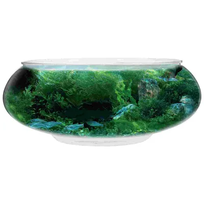 Aquarium Tank 2800ml Fish Tank Desktop Aquarium Tank Plant Decor Plastic Fish Bowl For Plants & Aquatic Pets Home Decoration