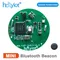 Holyiot NRF52810 Bluetooth Beacon Tag Sensore accelerometro opzionale Modulo BLE 5.0 Basso consumo energetico Ble lbeacon Eddystone