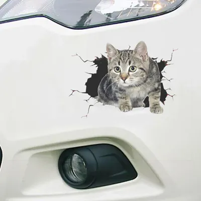 Tiere knacken Auto Aufkleber Papier 3d Simulation Katze Muster Aufkleber Aufkleber für Wand Auto Tür Image