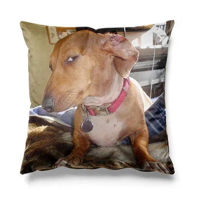 Aertemisi 18 ''x 18'' verdächtig sus Seite Auge Dackel Hund Quadrat Wurf kissen Kissen bezüge Kissen Image