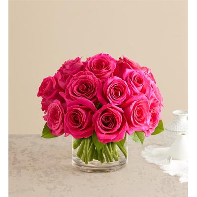 1-800-Flowers Flower Delivery Contemporary Hot Pink Roses Medium