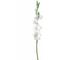 Set 4 Fiori Artificiali di Gladiolo Altezza 85 cm Bianco