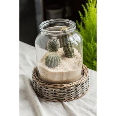 Stylish Glass and Wicker Cylinder Terrarium - Decorative Container for Succulents - 7.7" x 7.7" x 9" (L x W x H)