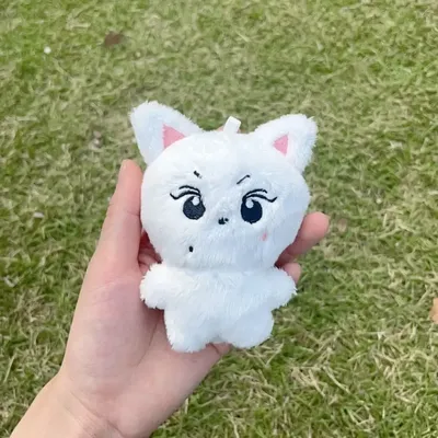Kpop Plush doll JUNGWON HEESEUNG JAY JAKE SUNGHOON Stuffed Toys Keyring Kawaii Cartoon Pendant Accessories Bag Fans Gifts