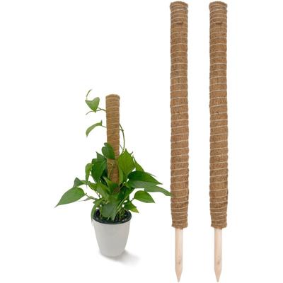 Kokos Rankstab 110 cm natur - 2 Stück - Pflanzstab für Zimmerpflanzen – Blumen Pflanz Stab Topf