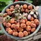 Figurines de citrouille miniatures, 6/10 pièces, féeriques décoratives, ornements de jardin d'halloween en résine pour bureau, jardin extérieur, fête à domicile