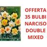 Offerta 35 bulbi di bulbi narciso double mix bulbs bulbes