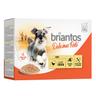 Briantos Delicious Paté 48 x 100 g Umido per cane - Pollo