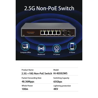 Network+Hub+Switches