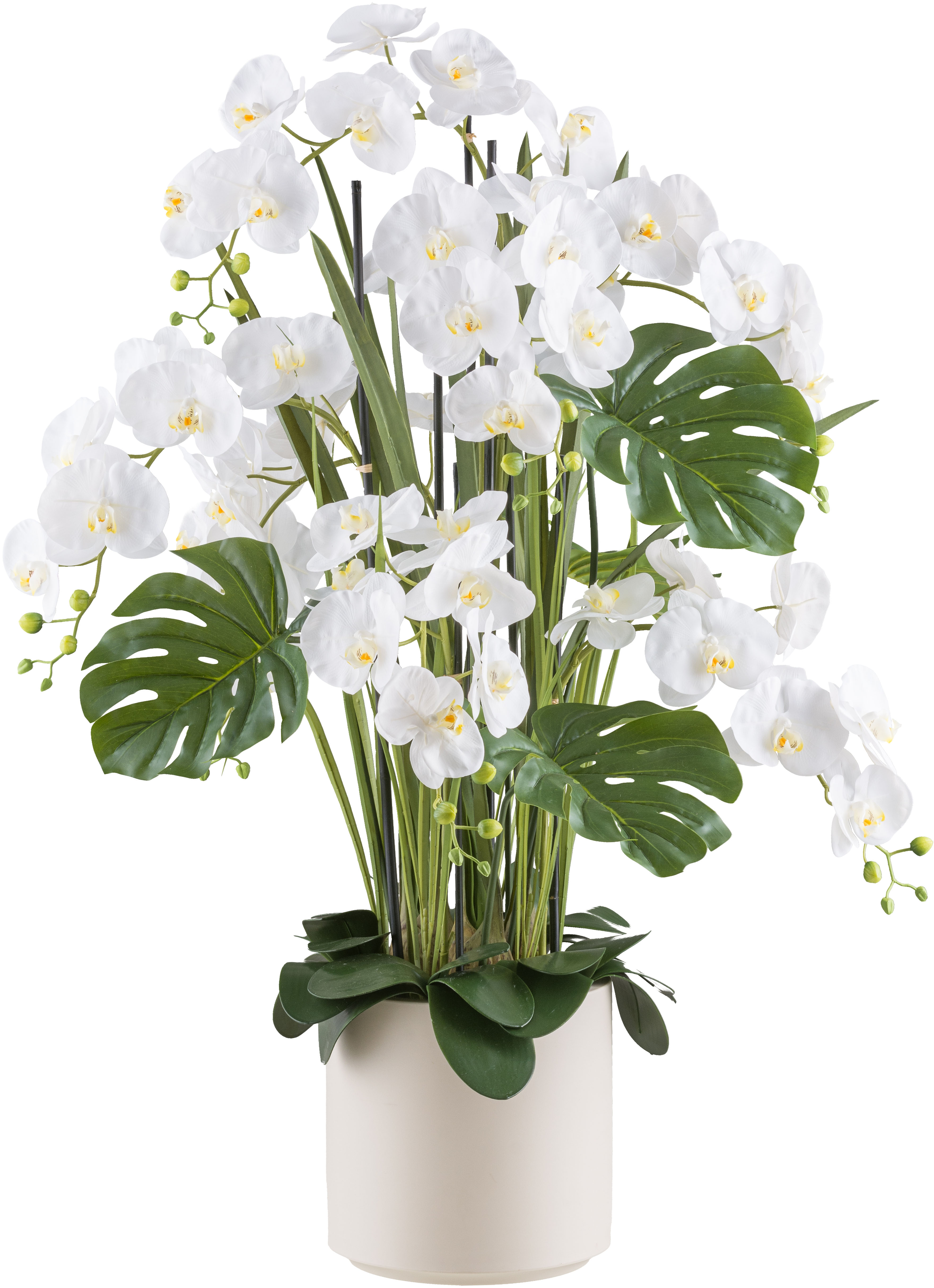 Kunstorchidee CREATIV GREEN "Orchidee Phalaenopsis", beige (creme), H:120cm, Kunststoff, Kunstpflanzen, mit Gräsern und Splitphilo-Blättern Image
