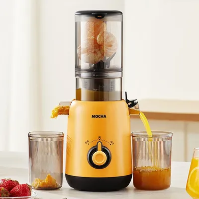 Large Caliber Juicer Household Low-speed Juicer Multifunctional Fruit Vegetable Screw Slow Juicer