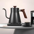 bollitore elettrico a collo d'oca bollitore per acqua veloce controllo della temperatura interna in acciaio inox display lcd spegnimento automatico 0,9l versare sopra bollitore per caffè e tè