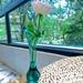 Calla Lily Flower Vase Transparent Bud Vase For Modern Home Decor Acrylic