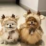 Christmas Elk Design Pet Cape Cute Dog Cloak Warm Clothes PuppyTransformation Outfit